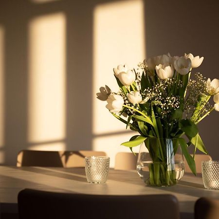 Ferienwohnung "Muehlenhof 4" - Gut Kletkamp Zewnętrze zdjęcie